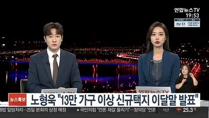 노형욱 "13만 가구 이상 신규택지 이달말 발표"