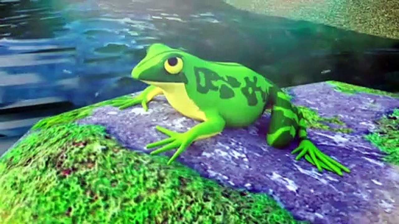 أغنية عن الضفدع A song about a frog