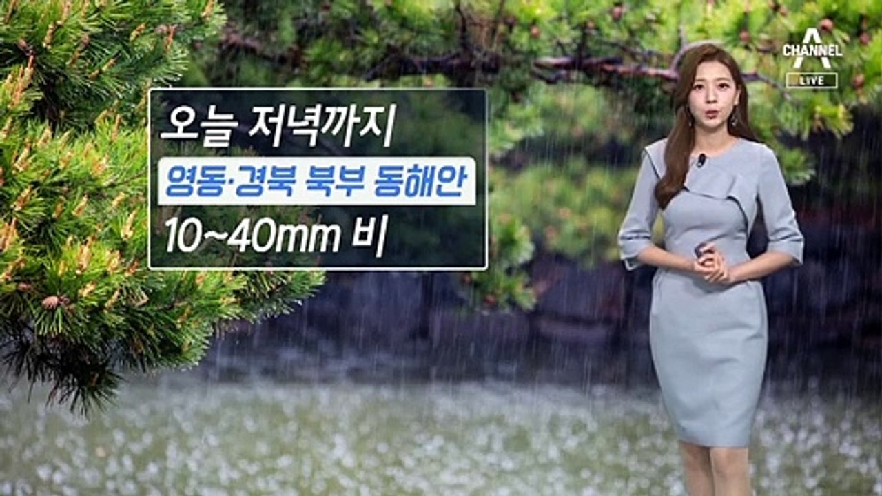 [날씨]내일도 곳곳 소나기…주말부터 전국 비 소식