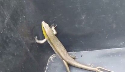 เรื่องพลบค่ำ ช่วงที่ 3 วันพฤหัสบดีที่ 19 ส.ค.64