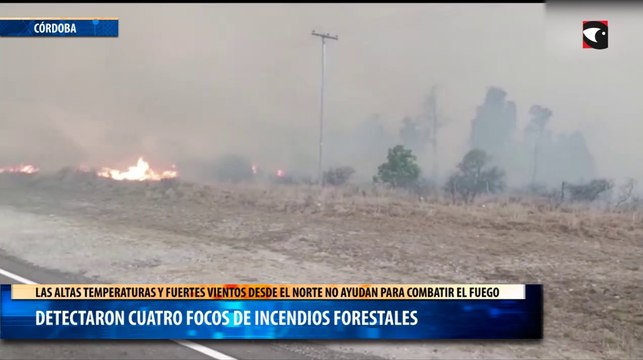 Detectaron cuatro focos de incendios Forestales