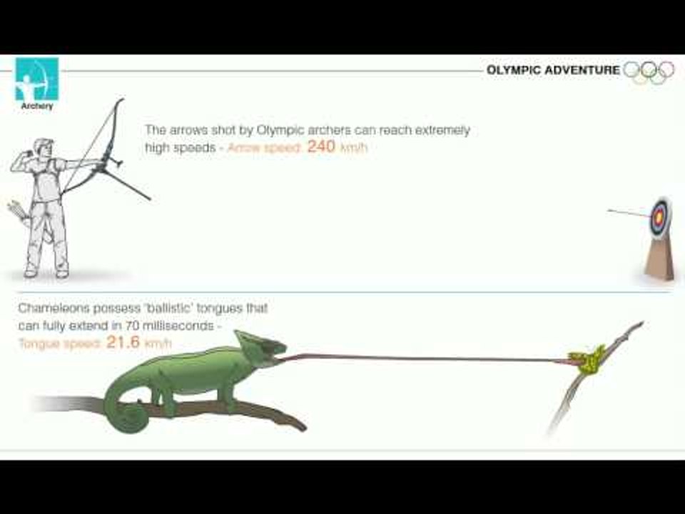 archery eng