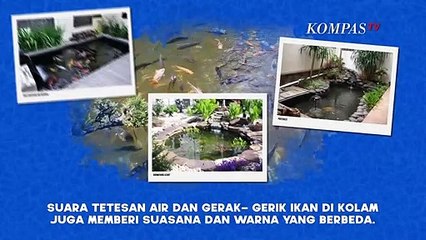 Ternyata, Kolam Ikan di Rumah  Bisa Redakan Stres