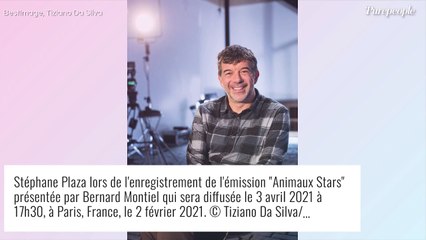 Stéphane Plaza plaque tout : l'animateur quitte Paris... pour la Bretagne !