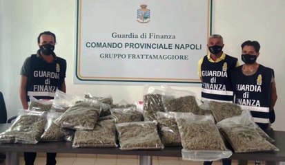 Frattamaggiore (NA) - Pacchi di marijuana sottovuoto in centro di spedizione (19.08.21)