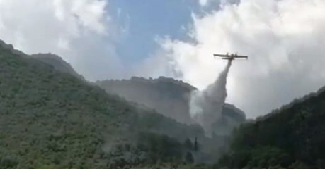 San Basile (CS) - Incendio di vegetazione, evacuate abitazioni (19.08.21)
