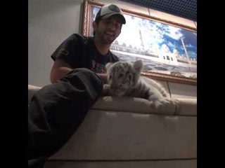 الشيخ حمدان بن محمد يلاعب نمرا