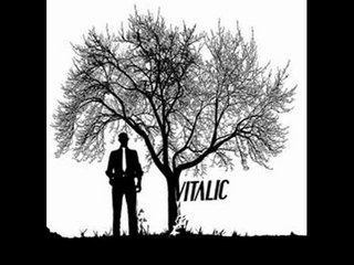 Vitalic   No Fun (Joachim Garraud Remix)