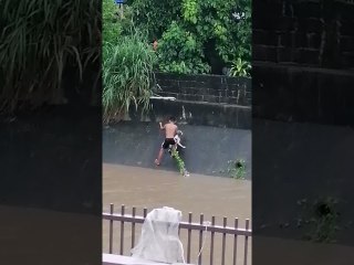 Dog Rescued From Swollen River