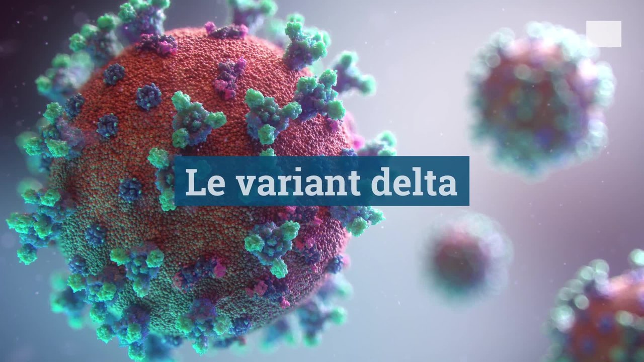 Le variant delta