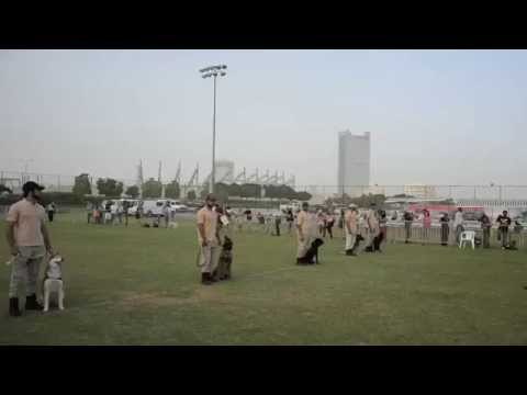 عدسة البيان ترصد أجواء مهرجان دبي للحيوانات الأليفة Dubai Pets Show 2014