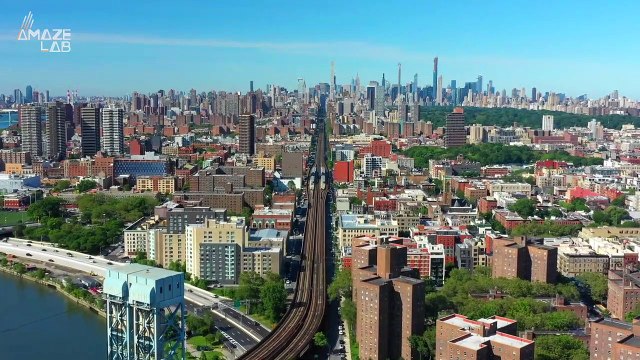 Here’s Why Some Mammal Species are Getting Surprisingly Larger