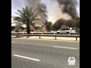 حادث الحريق في بعض أشجار حديقة مشرف بدبي