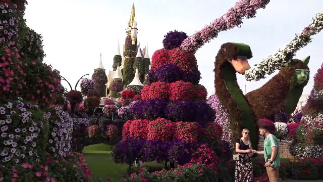 From the Desert to Skyscrapers in 50 years