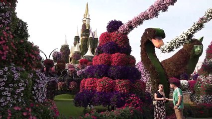 From the Desert to Skyscrapers in 50 years