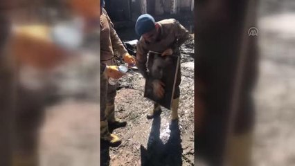 Son dakika! Bozkurt'ta jandarma ekipleri selde buldukları Atatürk fotoğrafını elleriyle yıkadı