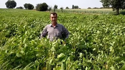 ÇANAKKALE - Ezine'de "Tarla Günü" ve Kadın Üreticilere Sertifika Dağıtımı Töreni Yapıldı