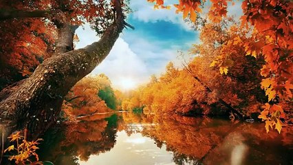 Nature Relaxing Music | Drone View | Chill Music | Beautiful Places