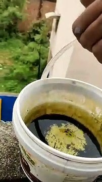 मच्छरों की उत्पत्ति को लेकर साढ़े तीन सौ इकाइयों को नोटिस, देखें वीडियो