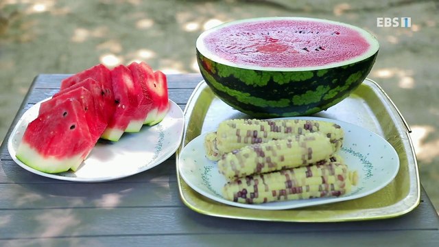 한국기행 - Korea travel_여름, 잠시 쉬어가요 4부- 뜨거운 여름 맛_#001
