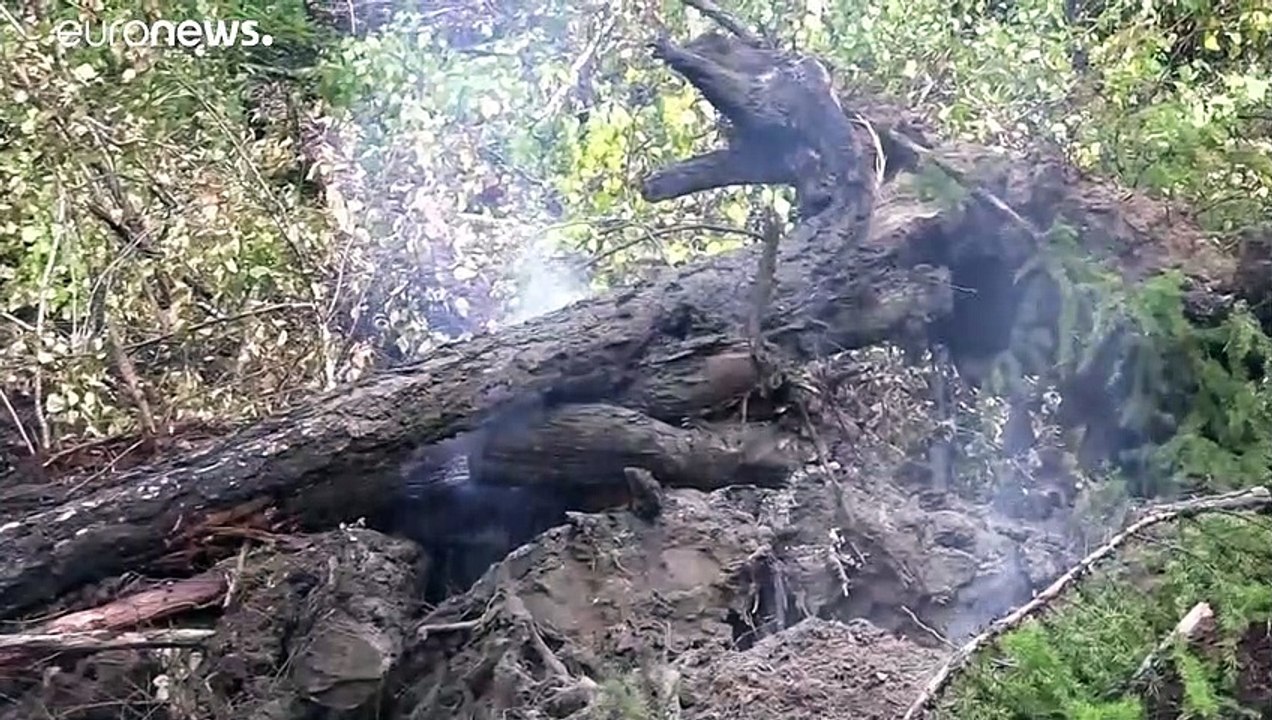 Две природные беды России: пожары в Якутии и паводки на Дальнем Востоке