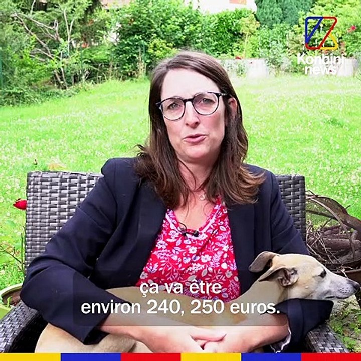 Mon chien est renifleur de punaises de lit | GOOD JOB