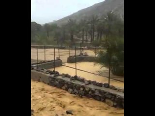 فيضان وادي صفد بالفجيرة