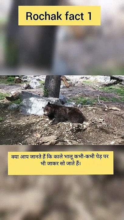 Animal facts you didn't know in hindi 2021|| top 4 amazing facts about animals #shorts #viral