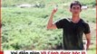 màn ảnh Việt: Ai cũng đỉnh đạt, soái ca, mời chị em quẹo lựa