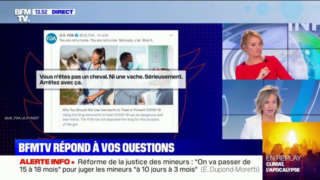 Qu'est-ce que l'ivermectine et pourquoi est-ce qu'on en parle ? BFMTV répond à vos questions