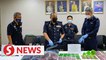 Man nabbed with almost RM200,000 of drugs in condominium raid