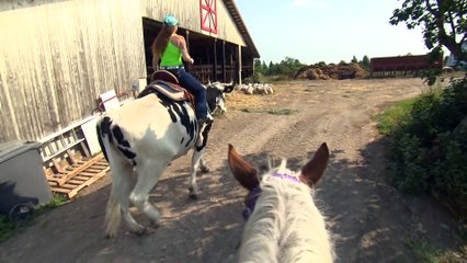 Topo Kelly Landry Boeuf