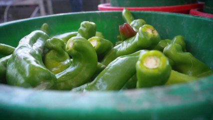 How to Make the Ultimate Hatch Chiles Rellenos