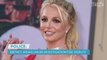 Britney Spears Under Investigation for Allegedly Striking Employee During 'Dispute' at Home: Police