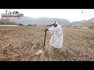 ح4: قرية المَيّة في الفجيرة.. الزراعة بين قمم الجبال