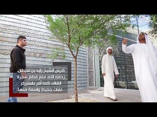 شجرة الاتحاد.. غرس الانتماء