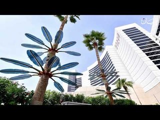 شجرة أوراقها تنتج طاقة كهربائية!