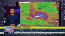 Tormenta tropical Grace deja daños menores en el caribe mexicano