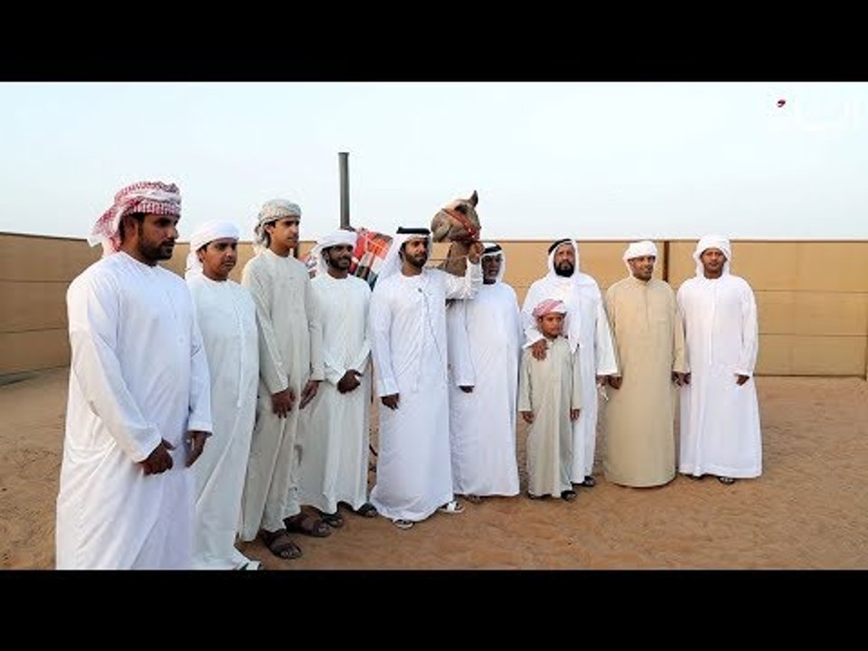 زايد.. أياد بيضاء على سباقات الإبل