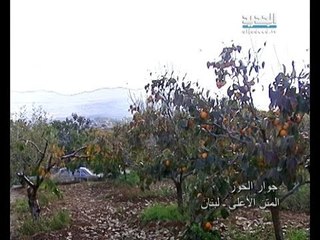 صورة ونغمة - جوار الحوز