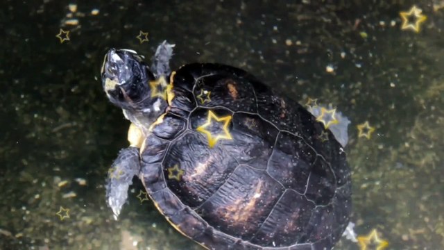 Underwater Relaxation Music, Relief Stress, Anxiety Relaxation with in five minutes, Meditation mind Power, Nature Relaxing Music