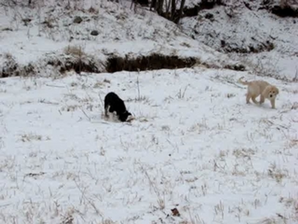 cheyenne et chelsea dans la neige