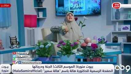 للجنة درجاتها.. تعرف عليها وحال اهالها مع د. هالة سمير