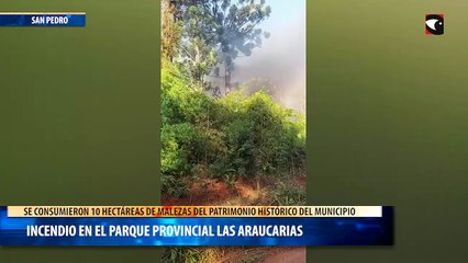 Incendio en el parque provincial las araucarias