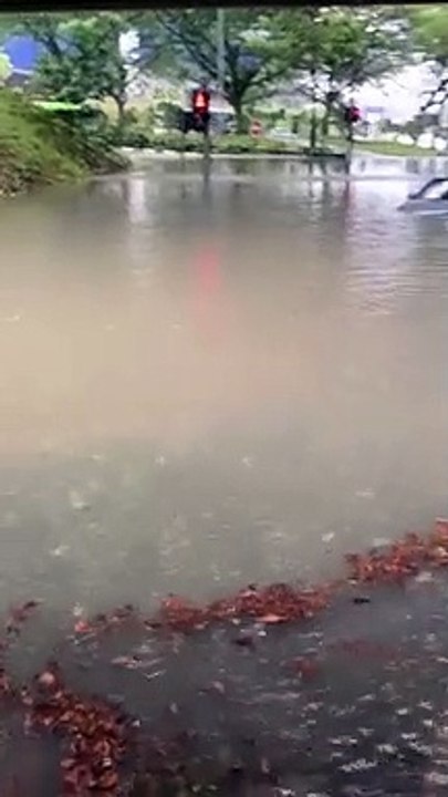 2nd Flood video