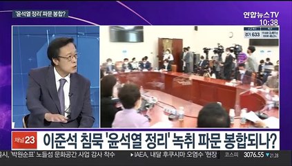 [뉴스포커스] 황교익 "자진사퇴"…野 '윤석열 정리' 파문 봉합?
