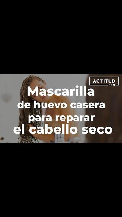 Mascarilla de huevo casera para reparar el cabello seco.| ActitudFem
