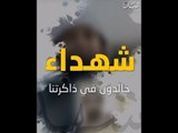 شهداء الإمارات.. في سماء المجد