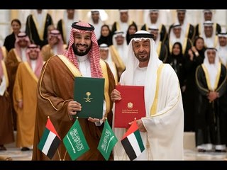 قالوا عن الامارات