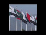 الإمارات والباكستان .. علاقات استراتيجية